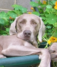 Barbra relaxing