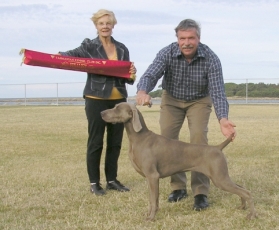 Barbra finalist Puppy of the Year