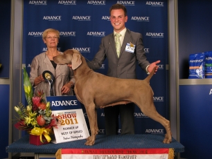 Royal Melbourne Show 2011